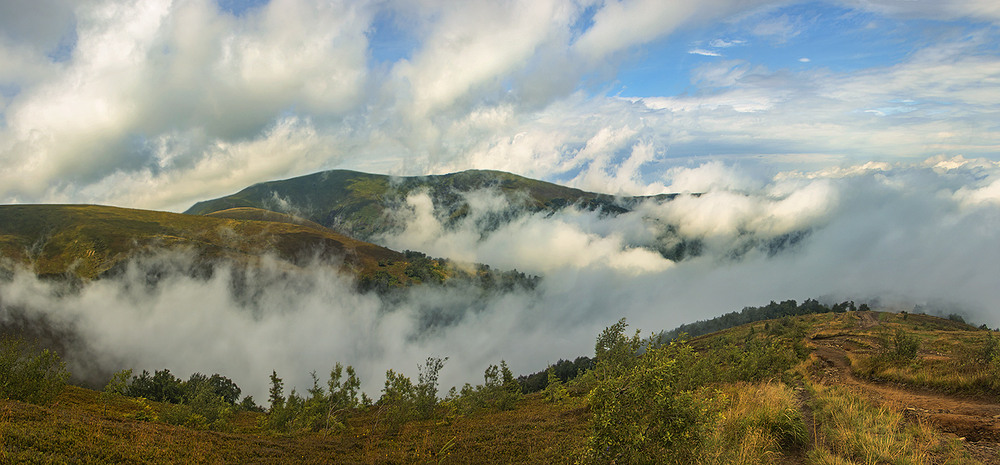 Фотографія Ми пустуємо як діти, тож розлуки – знов і знов: розділилось все на світі на любов і нелюбов... / Юрій Максименко / photographers.ua