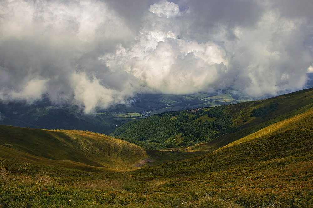 Фотографія Добре буває, коли сонечко у своє віконечко, крізь похмурі хмари, виглядає - люде радиє усє отамо. / Юрій Максименко / photographers.ua