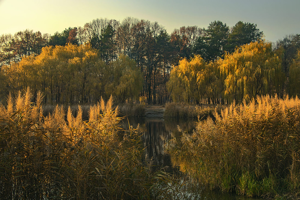 Фотографія Час вечірніх свічок настає: і люде чомусь радіють, а потім зітхають - кожен про щось своє. / Юрій Максименко / photographers.ua