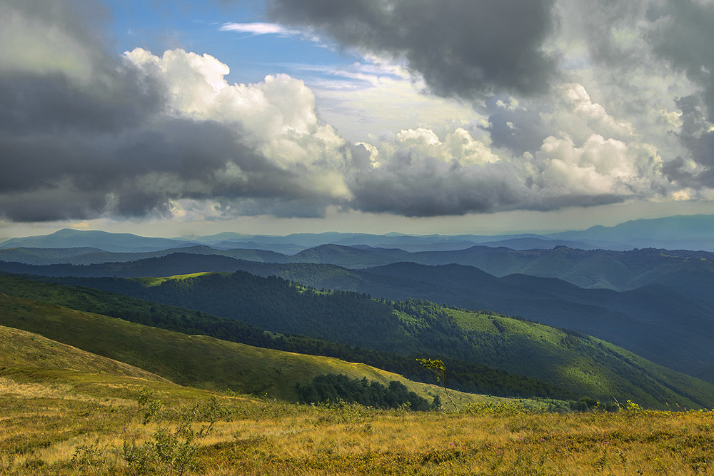 Фотографія - О-го-го - як їх тута багацько скрозь! - Угу - і гребнів гір, і хмар. - І лісів, і трав. / Юрій Максименко / photographers.ua