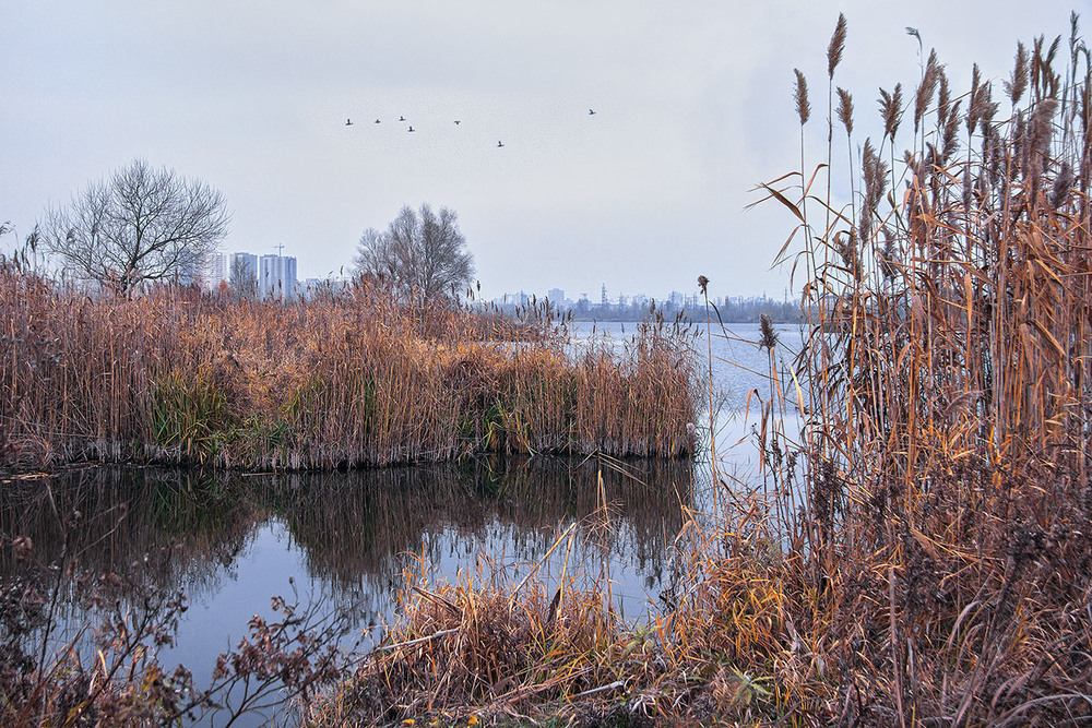 Фотографія Передмістя столиці. / Юрій Максименко / photographers.ua