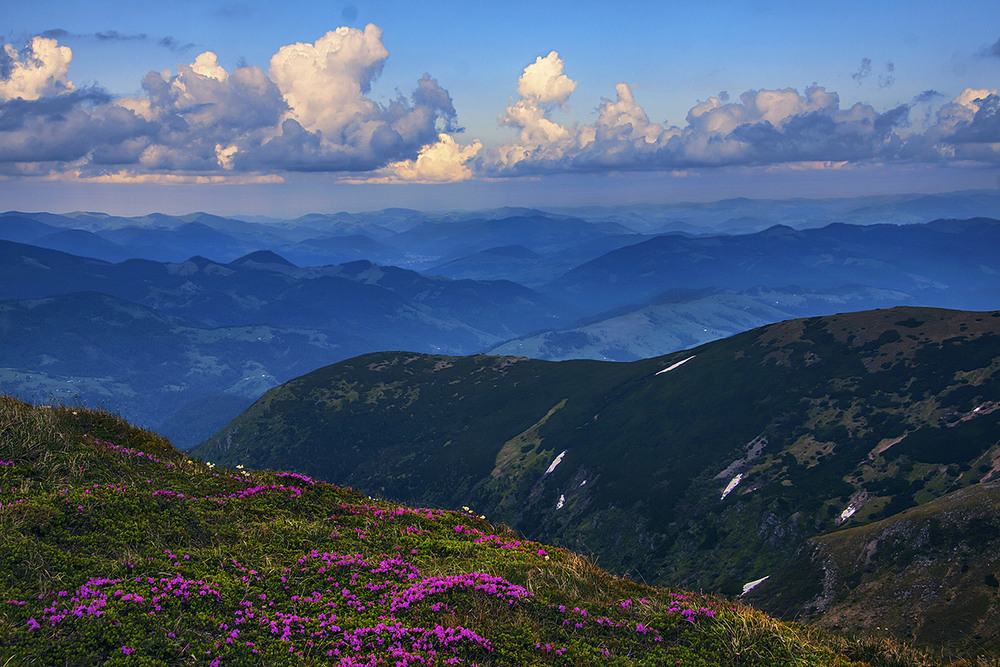 Фотографія Ніч опускається на гору Ребра, урочище Ґаджина, Бистрець, Верховину. / Юрій Максименко / photographers.ua