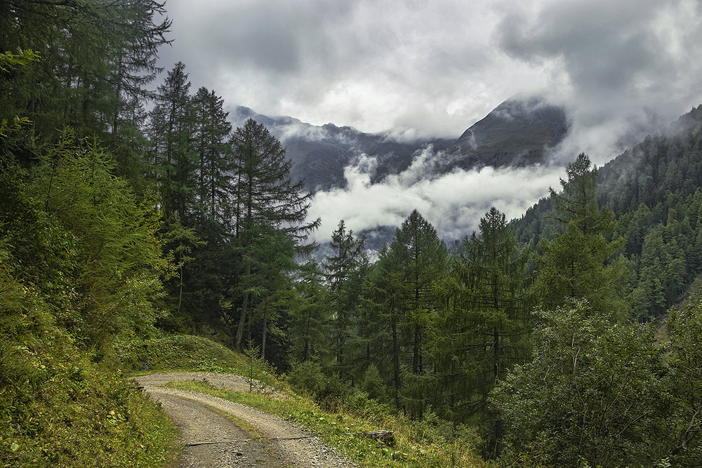 Фотографія Поміж хмарАми лине пісня ця. В дощик дрібненький. / Юрій Максименко / photographers.ua