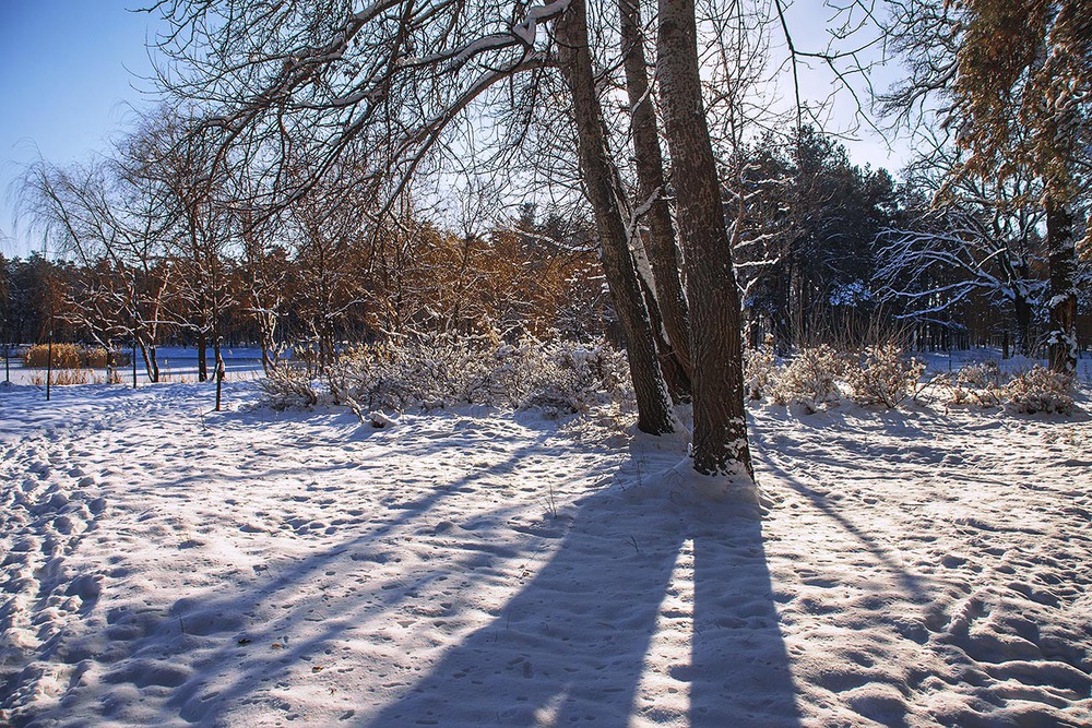 Фотографія Сніг світиться радісно. Південь - зразу за деревом. / Юрій Максименко / photographers.ua