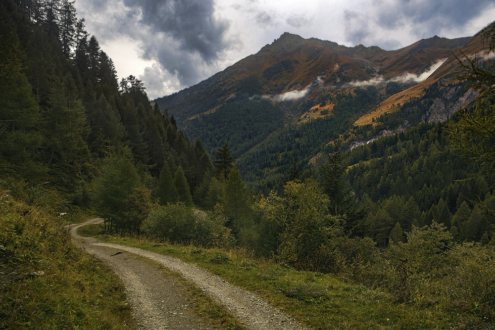 Фотографія Дорога в лісі пролягла поміж гір, долин і хмар, а дощик крапає дрібненький. / Юрій Максименко / photographers.ua