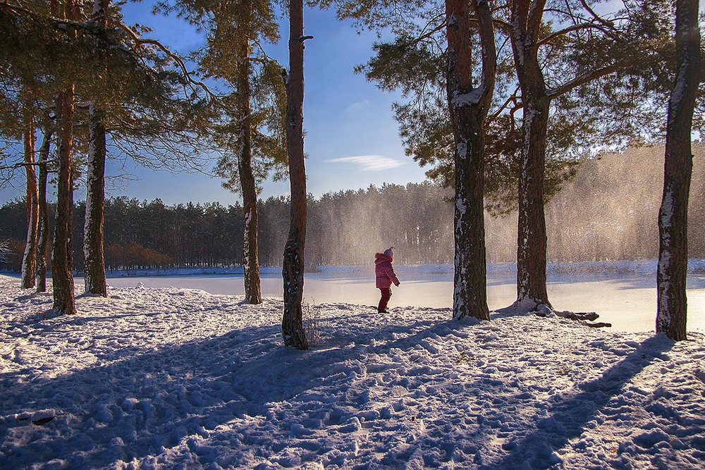 Фотографія Свіжий сніг, колючий. / Юрій Максименко / photographers.ua