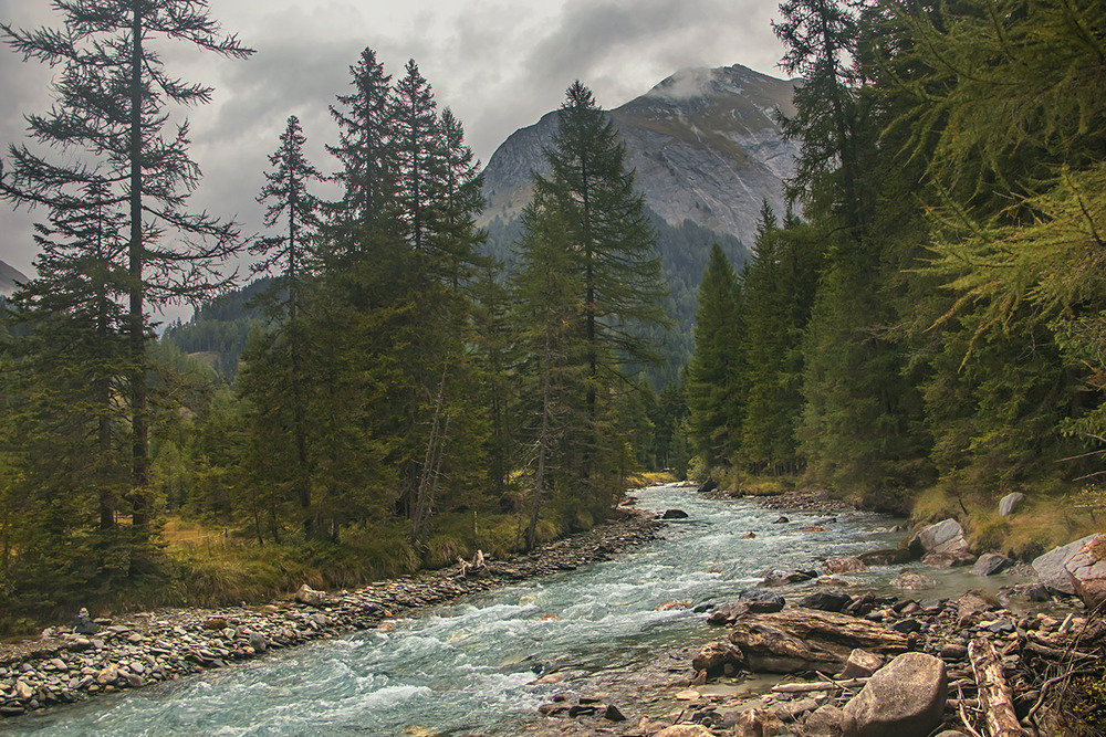 Фотографія Дощик крапає дрібненький. / Юрій Максименко / photographers.ua