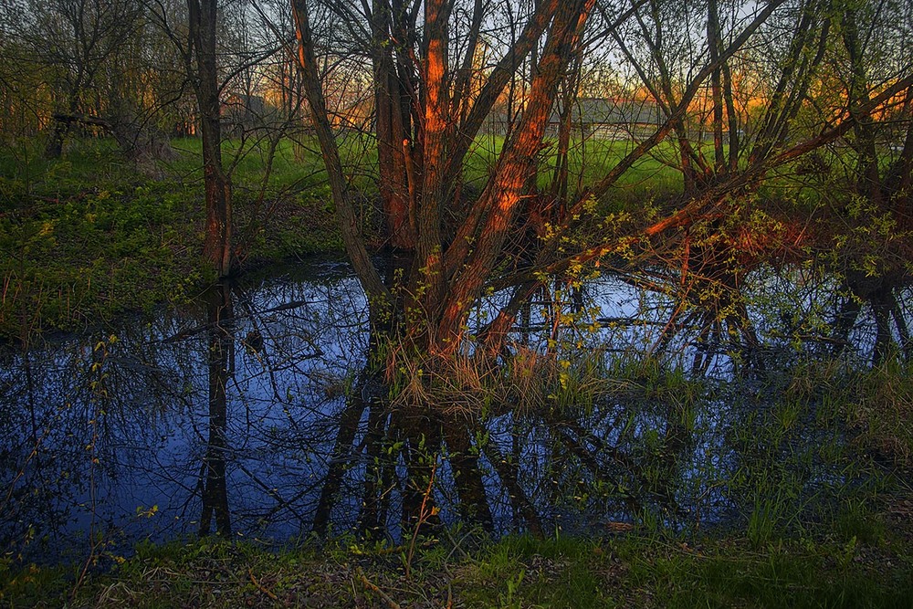Фотографія Весна таки ще десь є. Це-о - річка з назвою Рівчак. / Юрій Максименко / photographers.ua