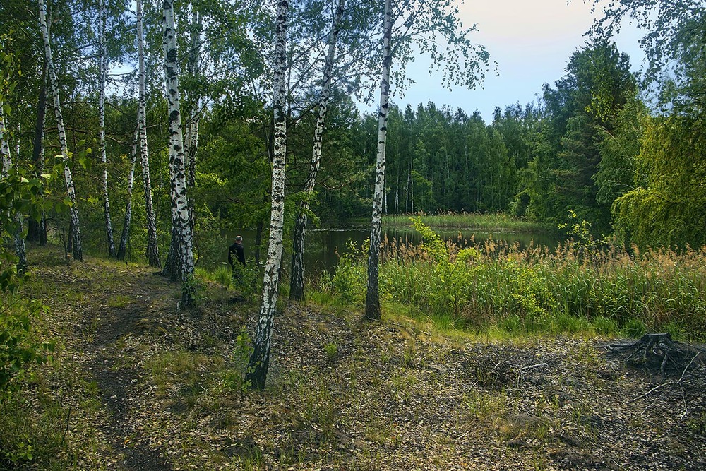 Фотографія Стежка пролягла повз лісове озеро, молоді берізки тута скрозь. Осещина на київщині в травні. / Юрій Максименко / photographers.ua