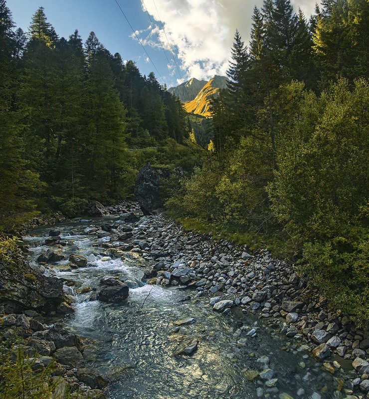 Фотографія Тече річка невеличка з вишневого са-а-ду проти ночі. / Юрій Максименко / photographers.ua