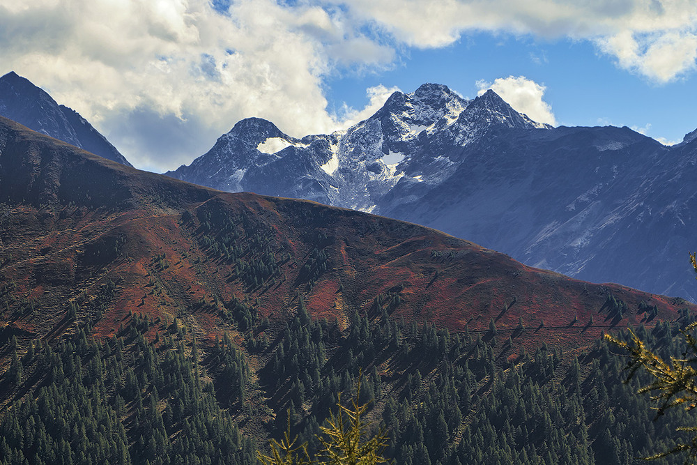 Фотографія Випав свіжий сніг - от того й веселіше стало. / Юрій Максименко / photographers.ua