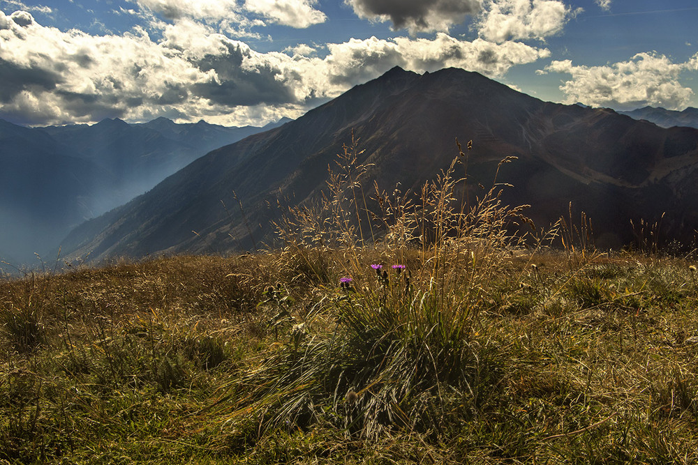 Фотографія Вітер віє, вітер віє, серце плаче, серце мліє. / Юрій Максименко / photographers.ua