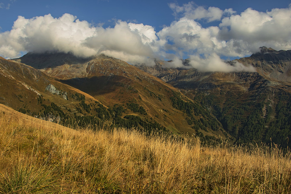 Фотографія Коли хмарнявість біла настає, люде чомусь радіють, а потім зітхають - кожен про щось своє. / Юрій Максименко / photographers.ua
