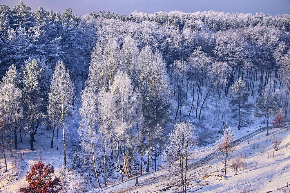 Фотографія Коли пАморозь ранкова настає, люде чомусь радіють, а потім зітхають і йдуть - кожен по щось своє. / Юрій Максименко / photographers.ua