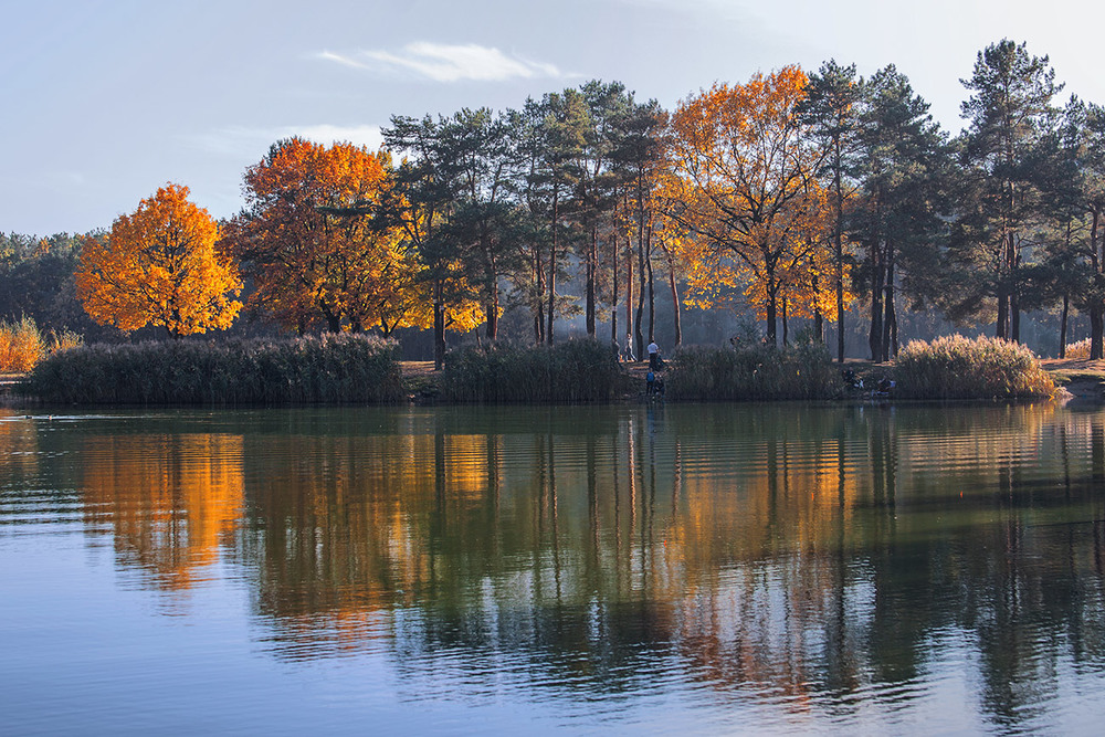 Фотографія Осінь світиться, відображається, кругом озера без діла тиняється. / Юрій Максименко / photographers.ua