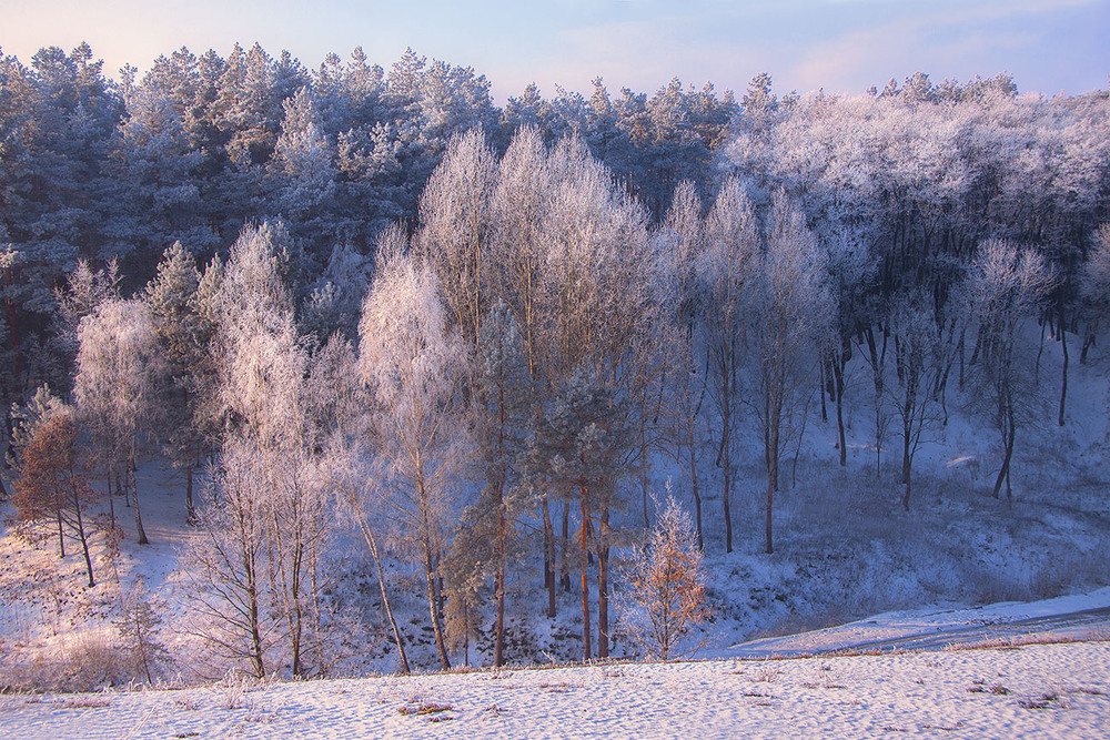 Фотографія Вранішнє ІньіЯньство трапилося якось цієї зими за містом. / Юрій Максименко / photographers.ua