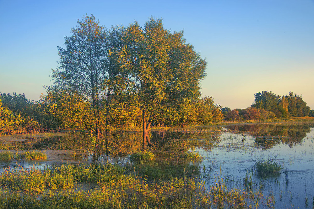Фотографія Сонце низенько. Влітку 22-го заплава Ірпіня стояли у воді. / Юрій Максименко / photographers.ua