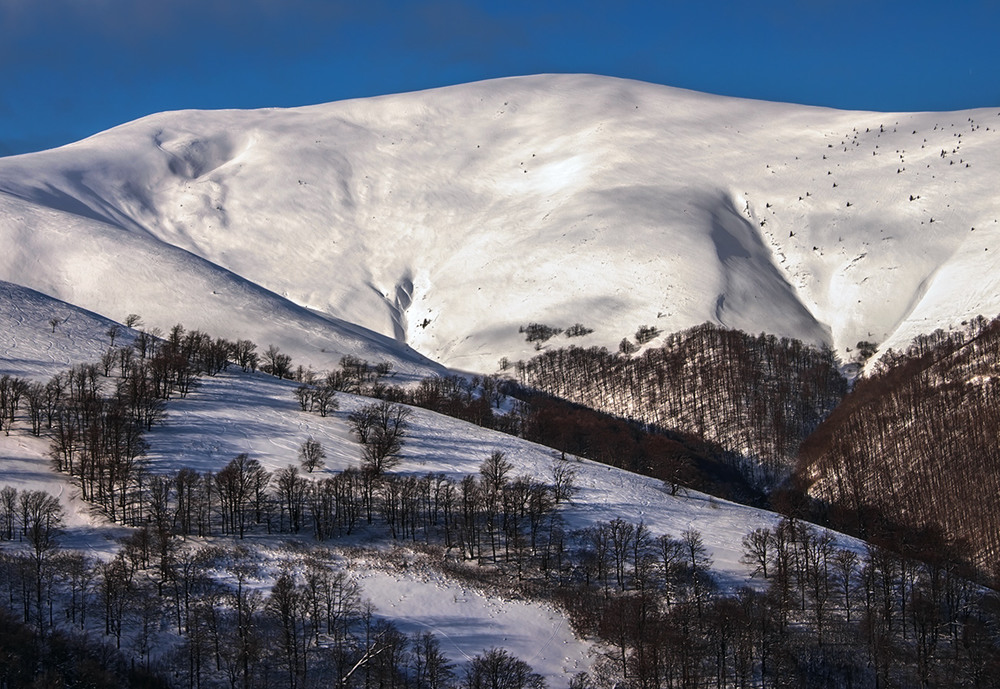 Фотографія Хворми інколи надихають, інколи викликають незвичайні алюзії. / Юрій Максименко / photographers.ua