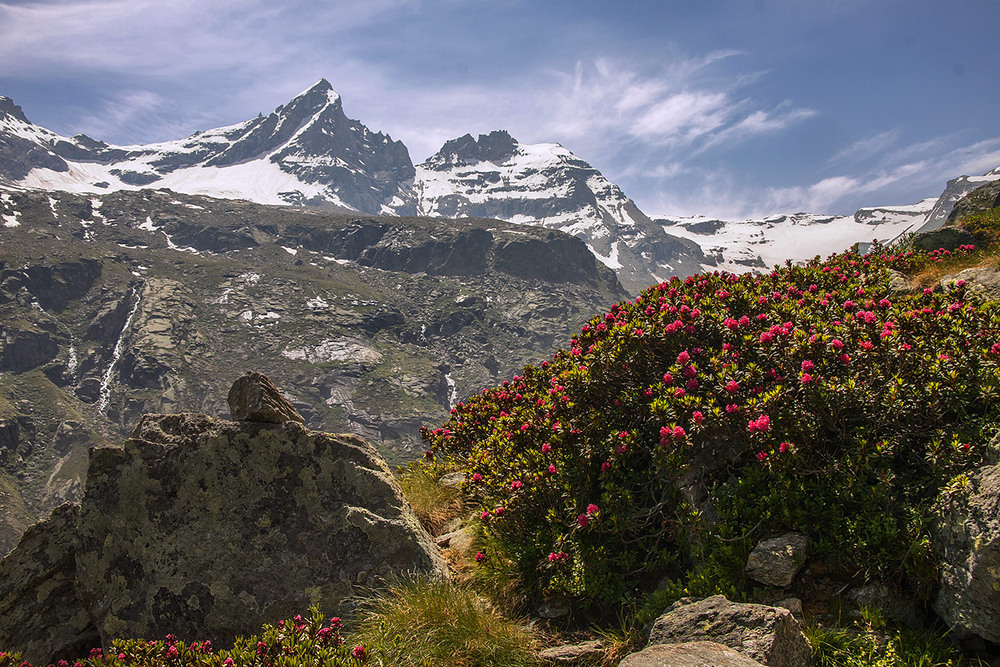 Фотографія І не треба нести мені квітку надії, бо давно уже ти увійшла в мої мрії. / Юрій Максименко / photographers.ua