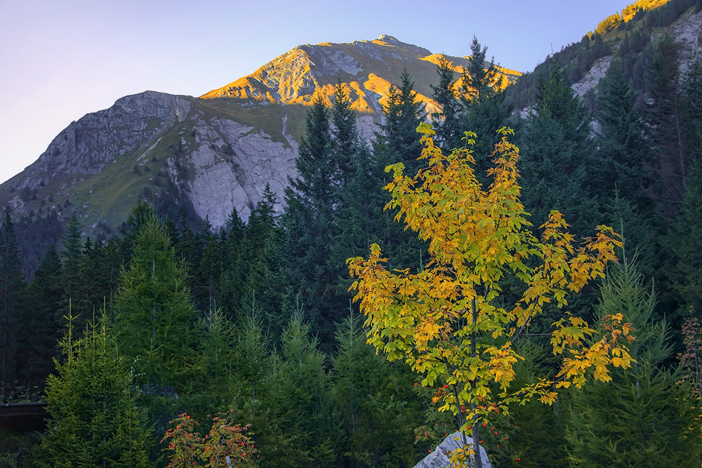 Фотографія Сонце низенько, осінь близенько, спішу до тебе, моє серденько. / Юрій Максименко / photographers.ua