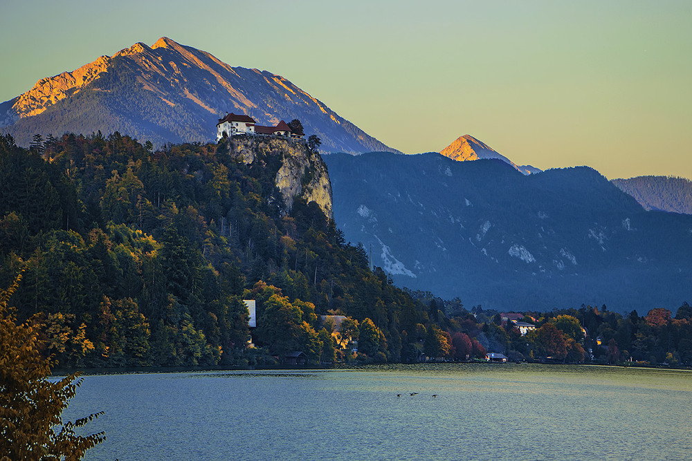 Фотографія В саду гуляла, квітки збирала, – кого хотіла причарувала. У вирій гуси летять. / Юрій Максименко / photographers.ua