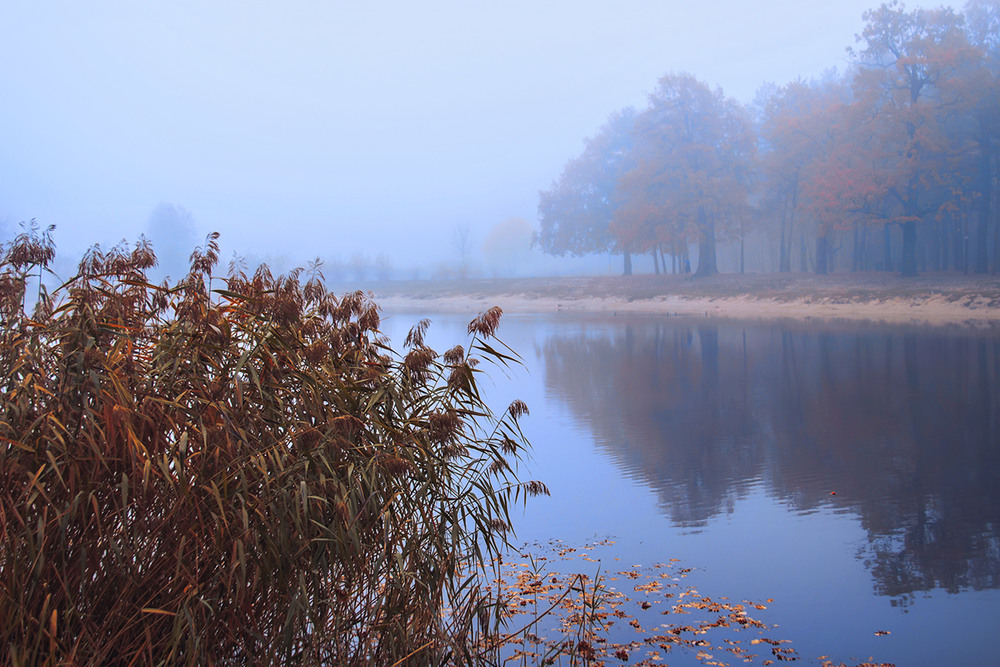 Фотографія Білі, сині, рожеві тумани заберуть, заспокоять, присплять / Юрій Максименко / photographers.ua