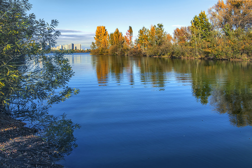 Фотографія Вечір опускається потихесеньку собі на все це осіннячко рябе (і на інші істоти). / Юрій Максименко / photographers.ua