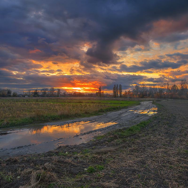 Фотографія Зеленеє жито за селом, а у мене гості - за столом. / Юрій Максименко / photographers.ua