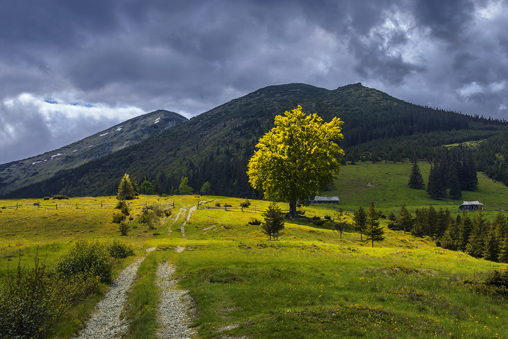 Фотографія Тільки не кажіть мені, що дощу не буде. / Юрій Максименко / photographers.ua