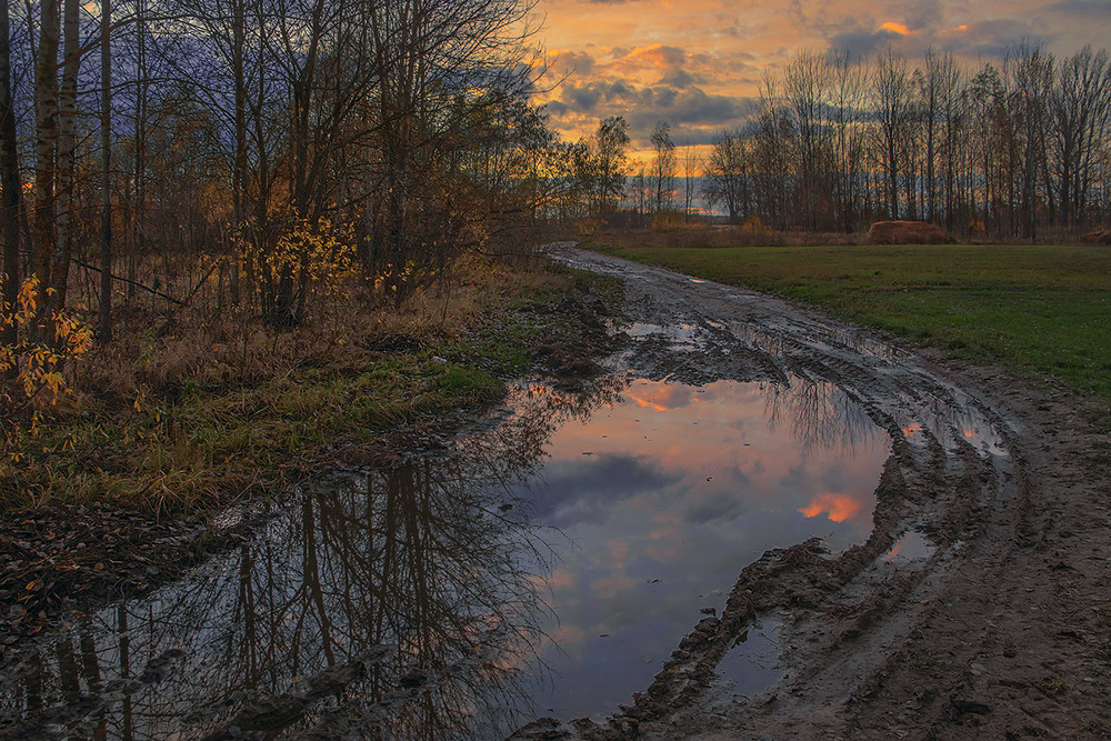 Фотографія На дорогу в імлі листопадній ляже жовтий у осінь квиток. / Юрій Максименко / photographers.ua