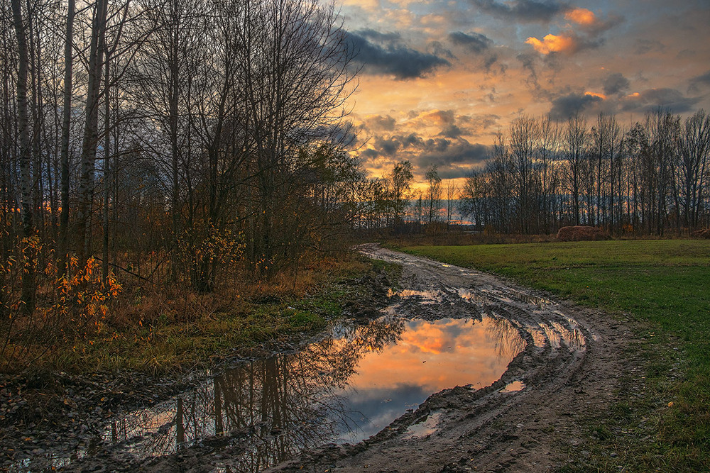 Фотографія Вітер віє, вітер віє, серце плаче, серце мліє на околиці села. / Юрій Максименко / photographers.ua