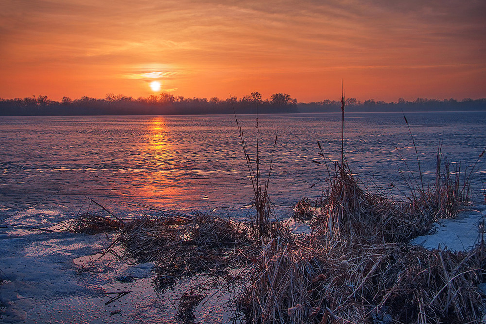 Фотографія Крихка дорога до сонця в березні. / Юрій Максименко / photographers.ua