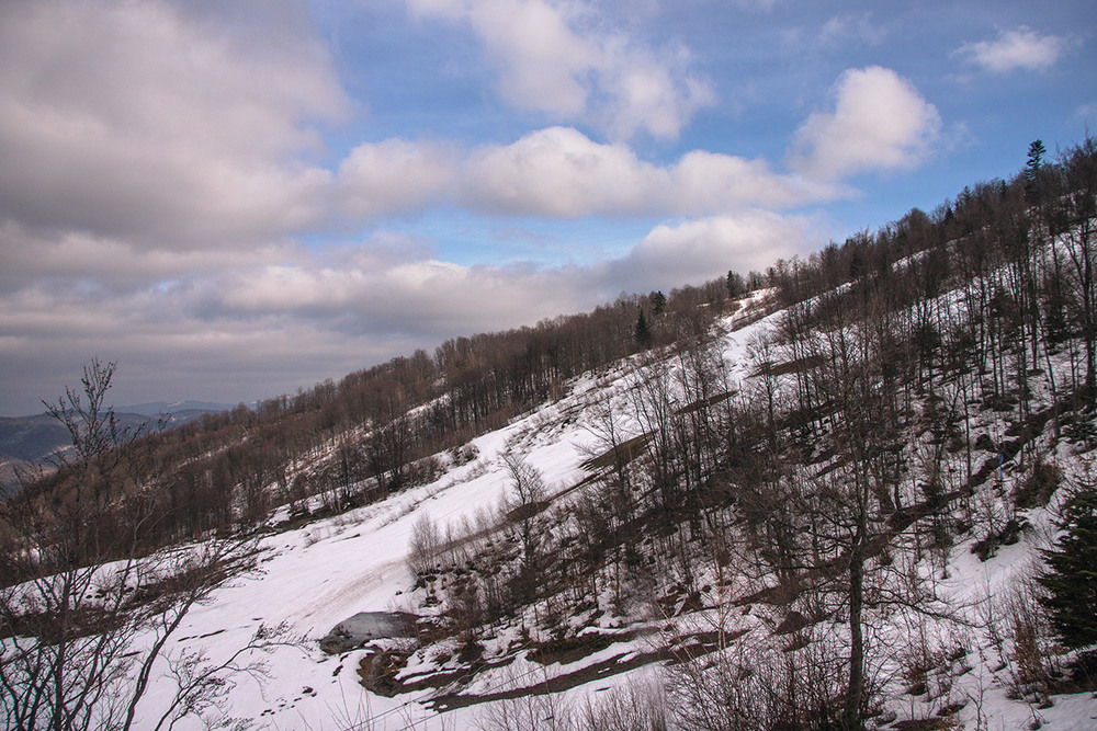 Фотографія Весна прилетіла з хмарками в Карпати. Сніг тане. / Юрій Максименко / photographers.ua