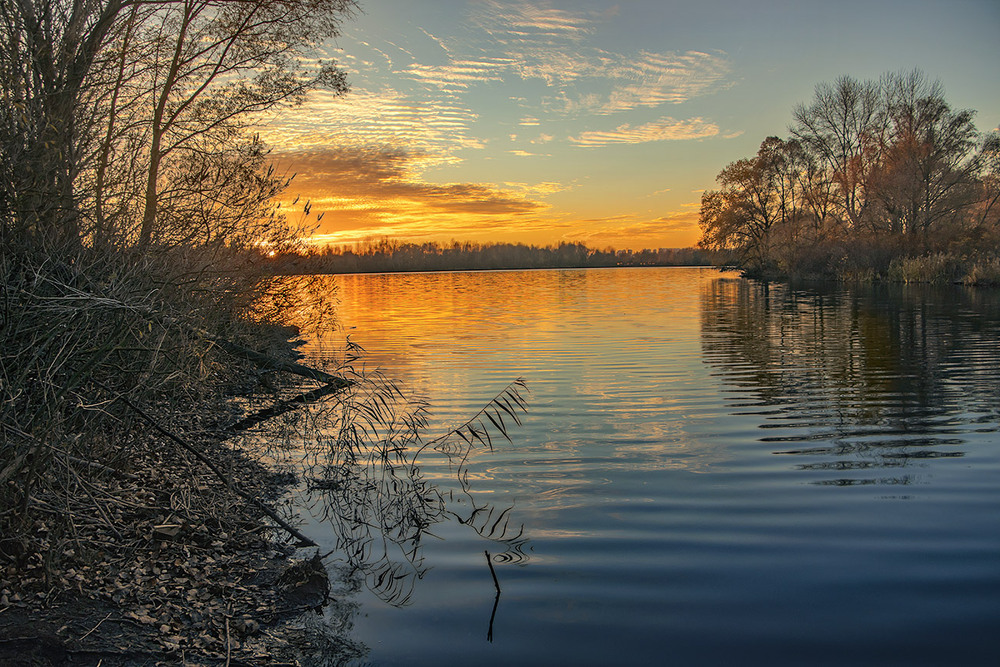 Фотографія Він впав, як той сухий листок, повік буде лежати. / Юрій Максименко / photographers.ua