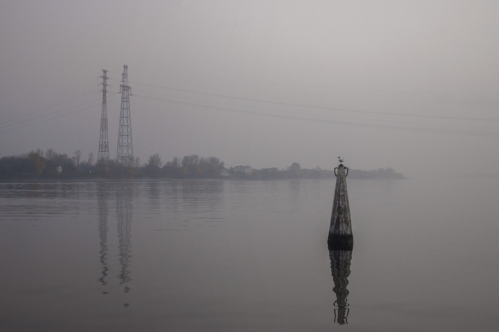 Фотографія Чайка проти ночі, буй, туман, імла. / Юрій Максименко / photographers.ua