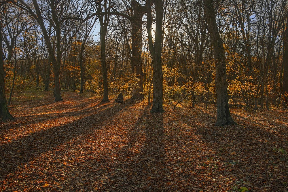 Фотографія Як сніги упадуть, головов наложим, не будем співати вже тут. / Юрій Максименко / photographers.ua