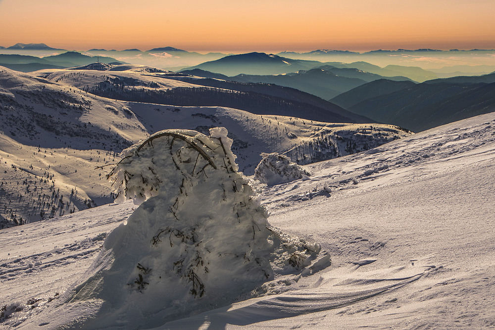 Фотографія Нічого-нічого - прийде весна - випростаємося! А над далеким горами увечері ніжна імла висить. / Юрій Максименко / photographers.ua