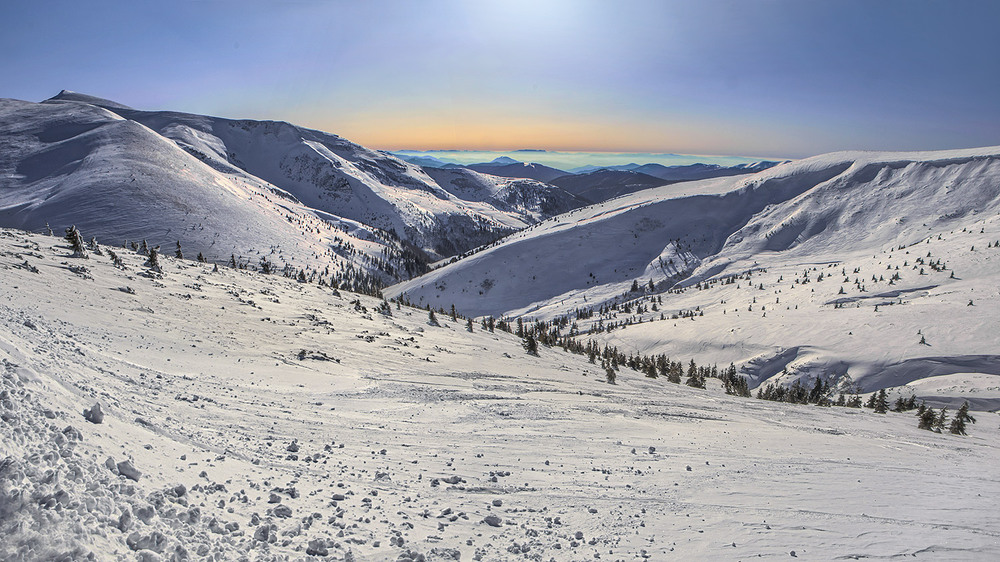 Фотографія Під вечір над далеким обрієм засвітився ніжний серпанок. А сніг - сліпить предобряче. / Юрій Максименко / photographers.ua