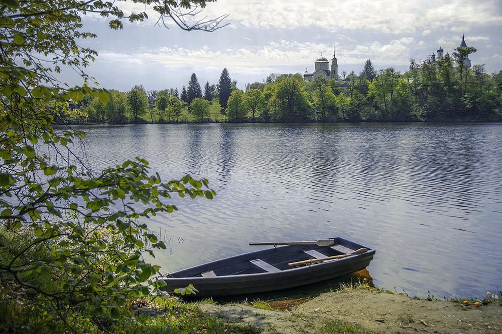 Фотографія На початку травня та ще й вранці все таке зелене, аж світиться проти сонця. / Юрій Максименко / photographers.ua