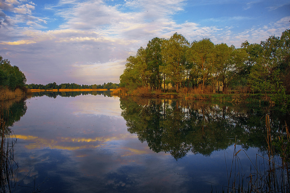 Фотографія Вранішні прогулянки вздовз озера: небо у воді глибоке. / Юрій Максименко / photographers.ua