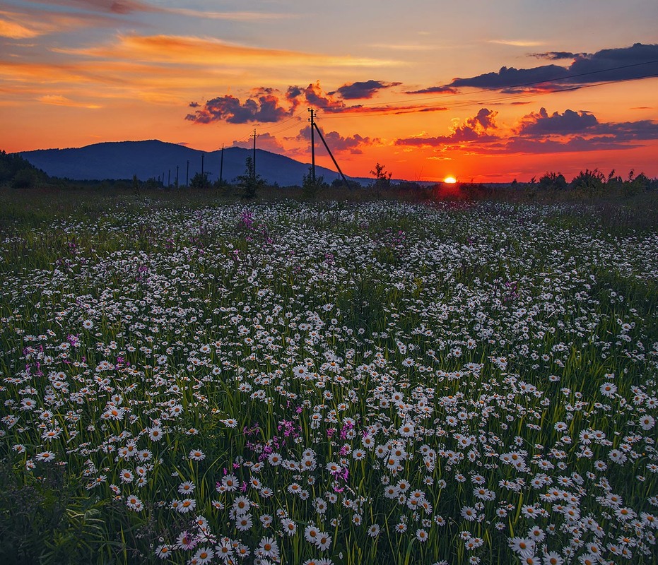 Фотографія Невідвороність і достепенність ночі і особливого знання про те "любить чи не любить" – настали. / Юрій Максименко / photographers.ua