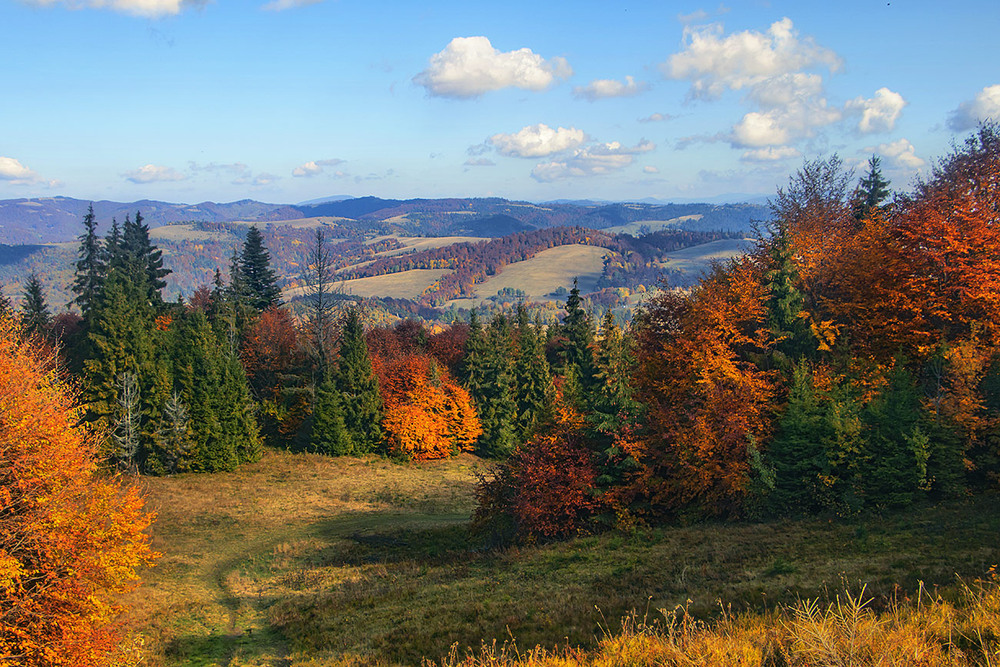 Фотографія Отак-о на стежці полониною до гори Ряпецка життя і минає буває. / Юрій Максименко / photographers.ua