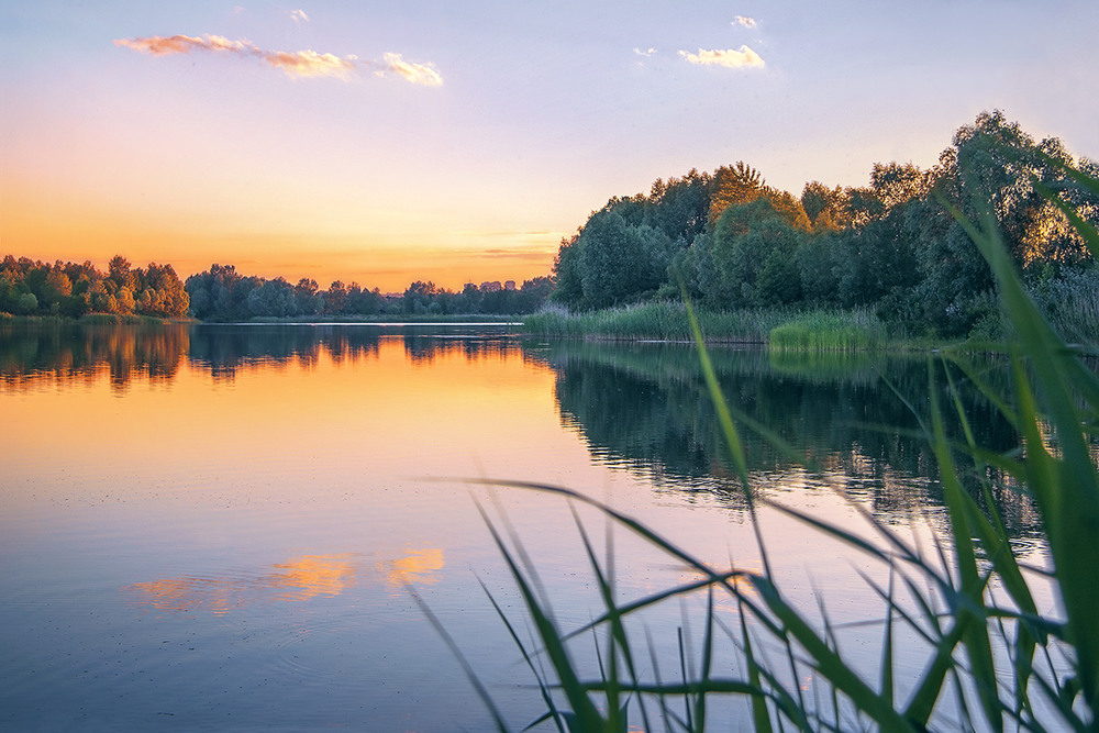 Фотографія Може, це і є спокій. Якщо ми цЕ втратимо, то й спокою не знайдемо вже ніде (залякування). / Юрій Максименко / photographers.ua