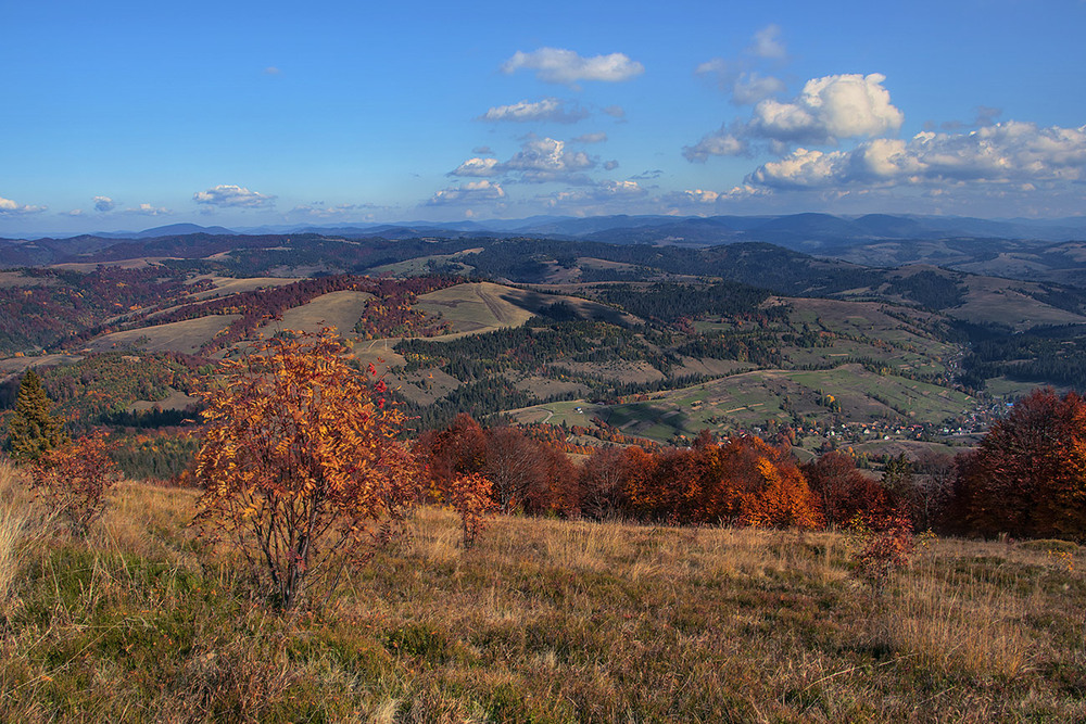 Фотографія Карпаття з полонини Ряпецка. / Юрій Максименко / photographers.ua