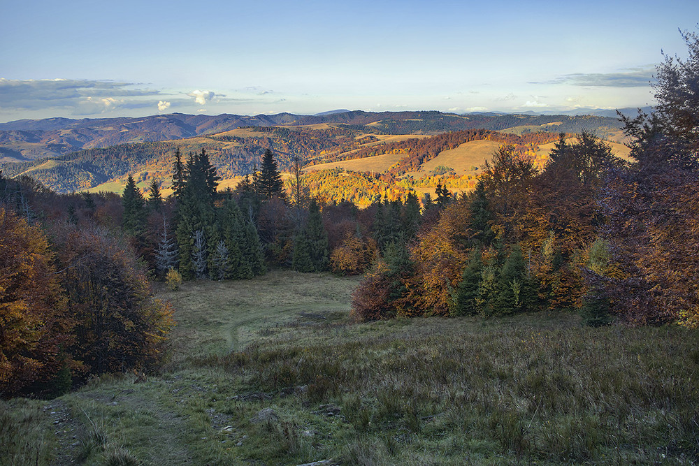 Фотографія Стежка лежить і біжить, вечір опускається, осінь палає, дерева стоять - всі при ділі на Боржаві. / Юрій Максименко / photographers.ua