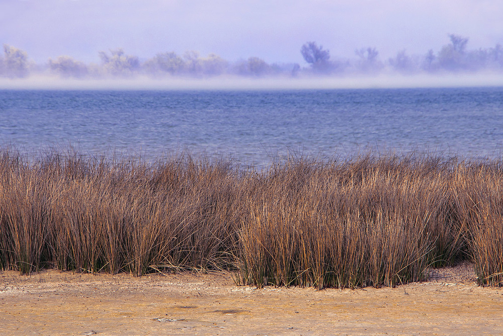 Фотографія А потім туман – гульк, і втік он до того берега. / Юрій Максименко / photographers.ua