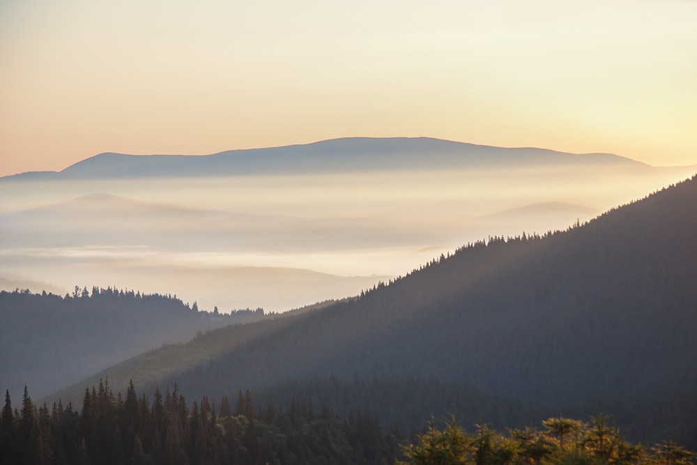 Фотографія В долині між горами на світанку тумани блукають. / Юрій Максименко / photographers.ua