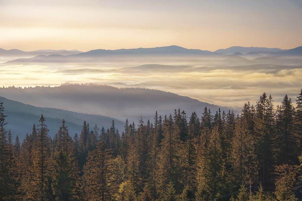 Фотографія Мій рідний край. / Юрій Максименко / photographers.ua
