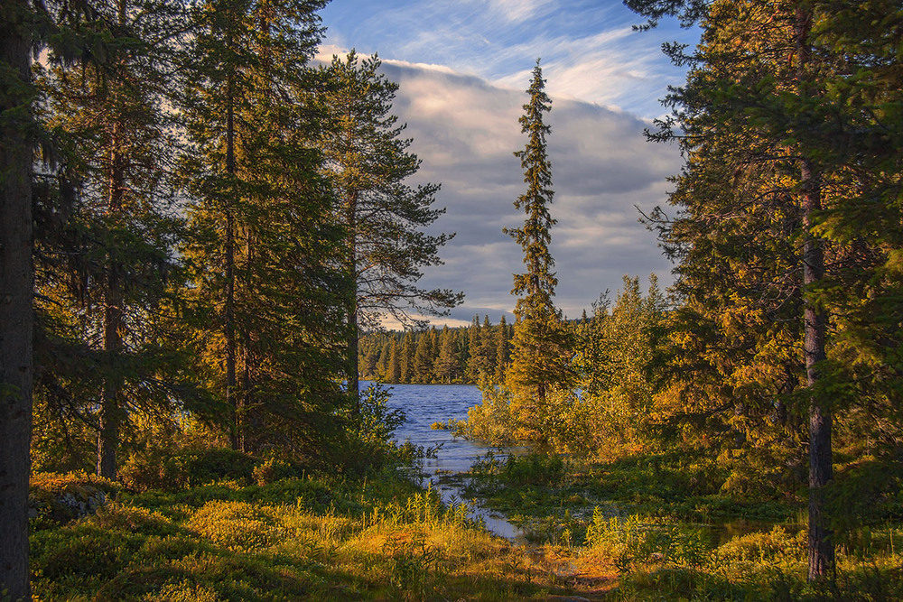 Фотографія Сонце заходить, вОди темніють. / Юрій Максименко / photographers.ua