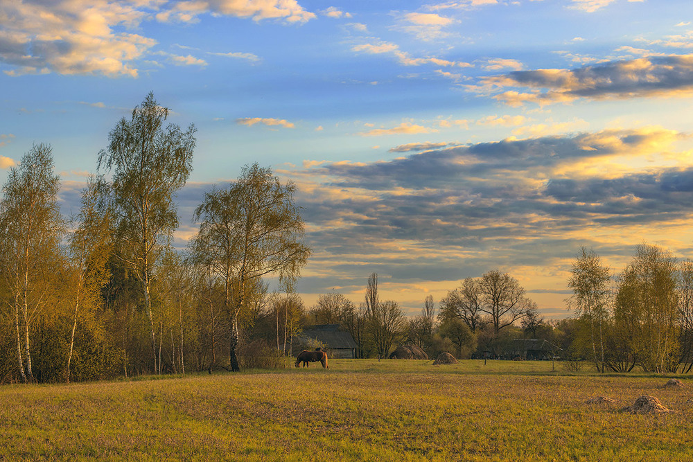 Фотографія Сонце сідає, хмари пливуть, коні харчуються, дерева зеленіють - робота є усім в квітні на околиці. / Юрій Максименко / photographers.ua